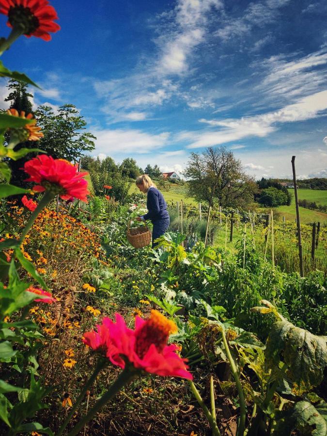 Апартаменты Landhaus Schaller Im Suedburgenland Maria Bild Экстерьер фото